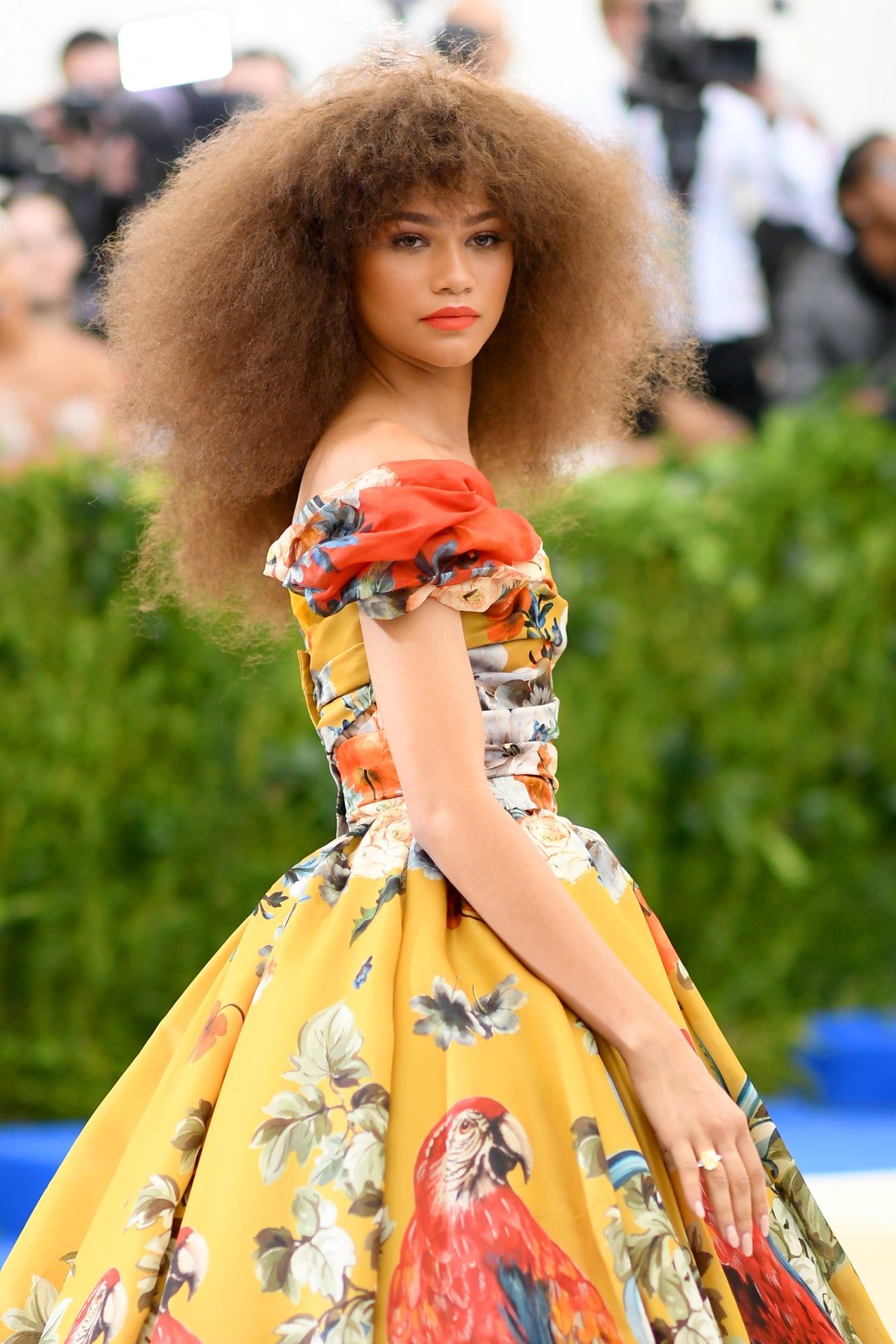 Zendaya Is the Ultimate Hair Chameleon