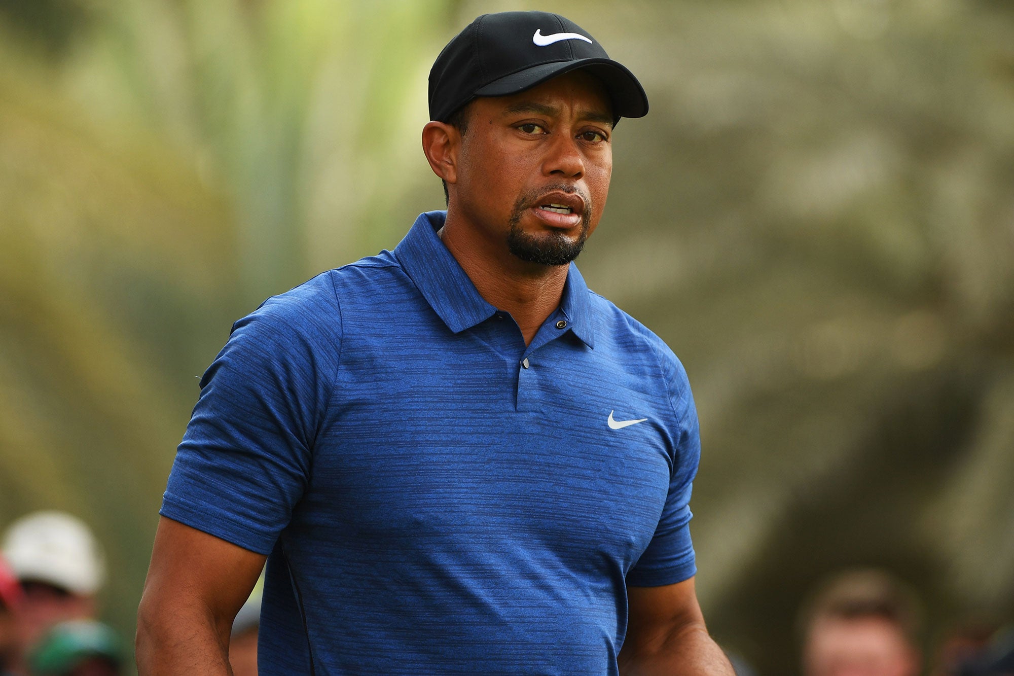 Tiger Woods Gets A Reminder That He’s Actually Black | Essence