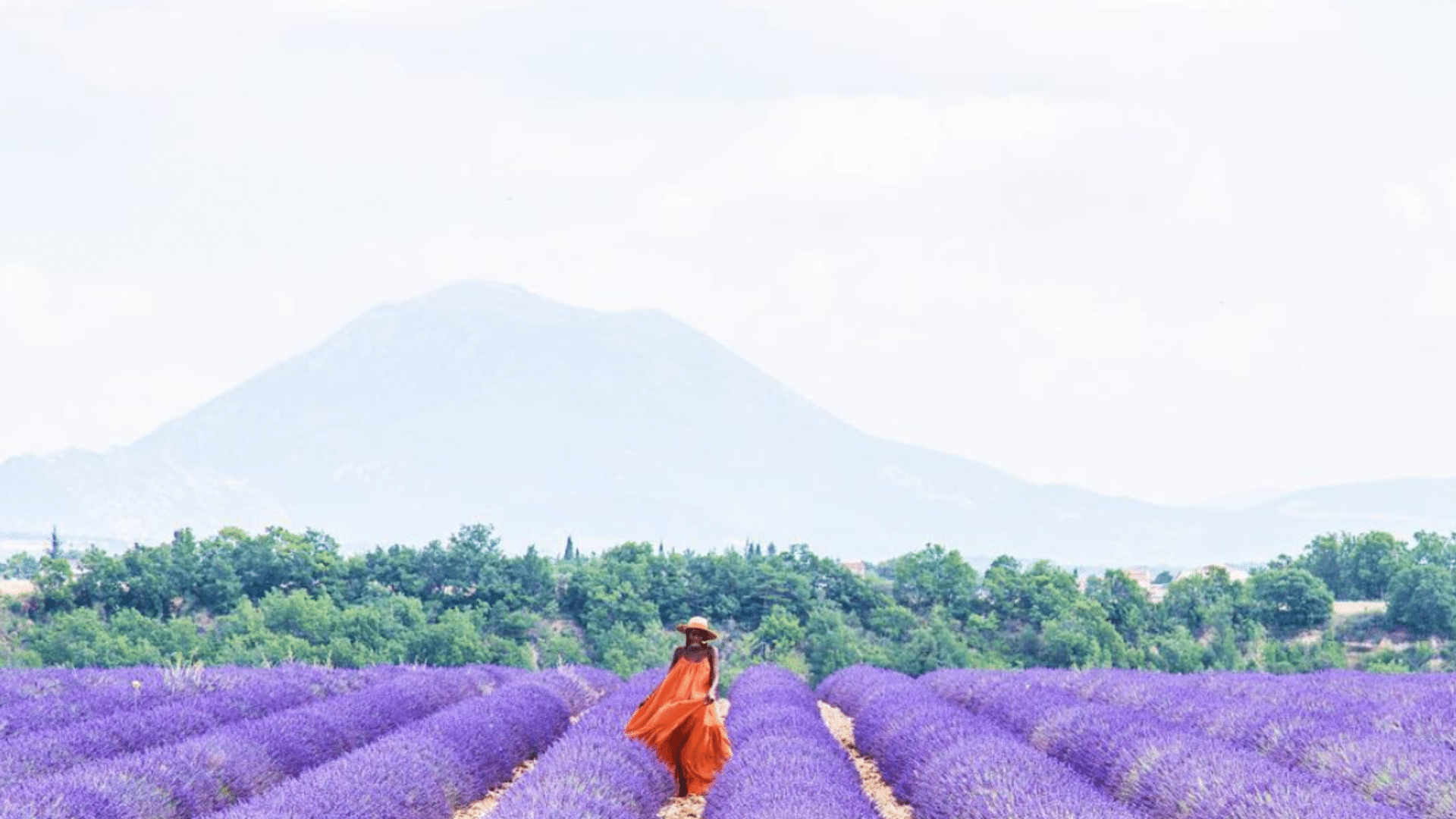 Black Travel Moment of the Day: This Lavender Moment in France Has Us Longing For Summer