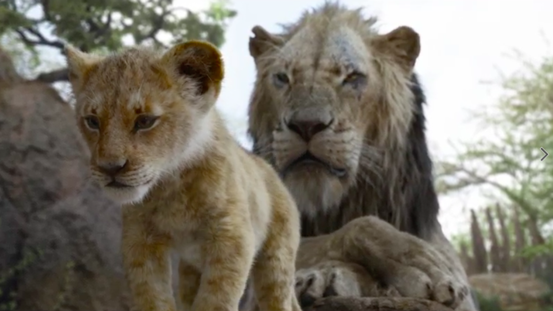 New 'Lion King' Trailer Shows Simba Fighting For His Destiny Essence