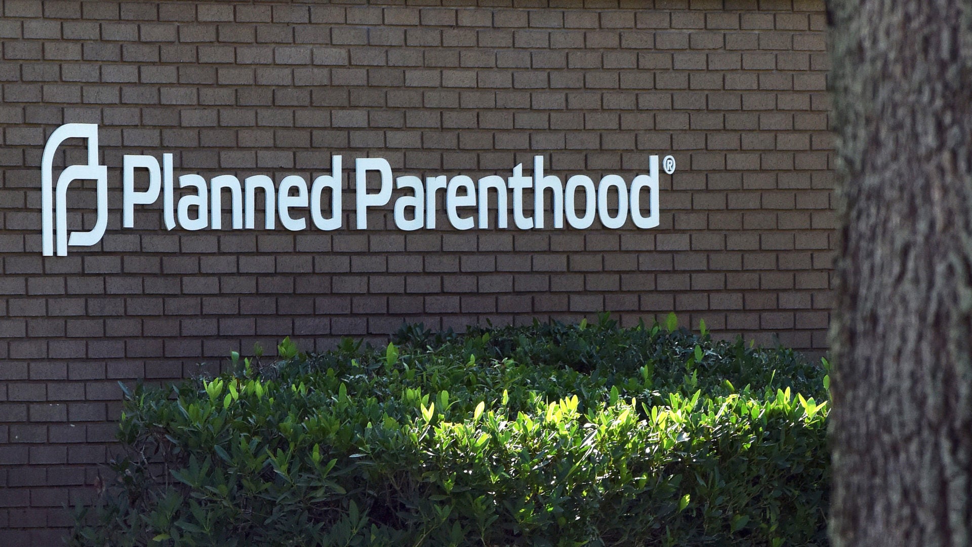 Planned Parenthood Leaves Federal Family Planning Program Over Abortion Restrictions