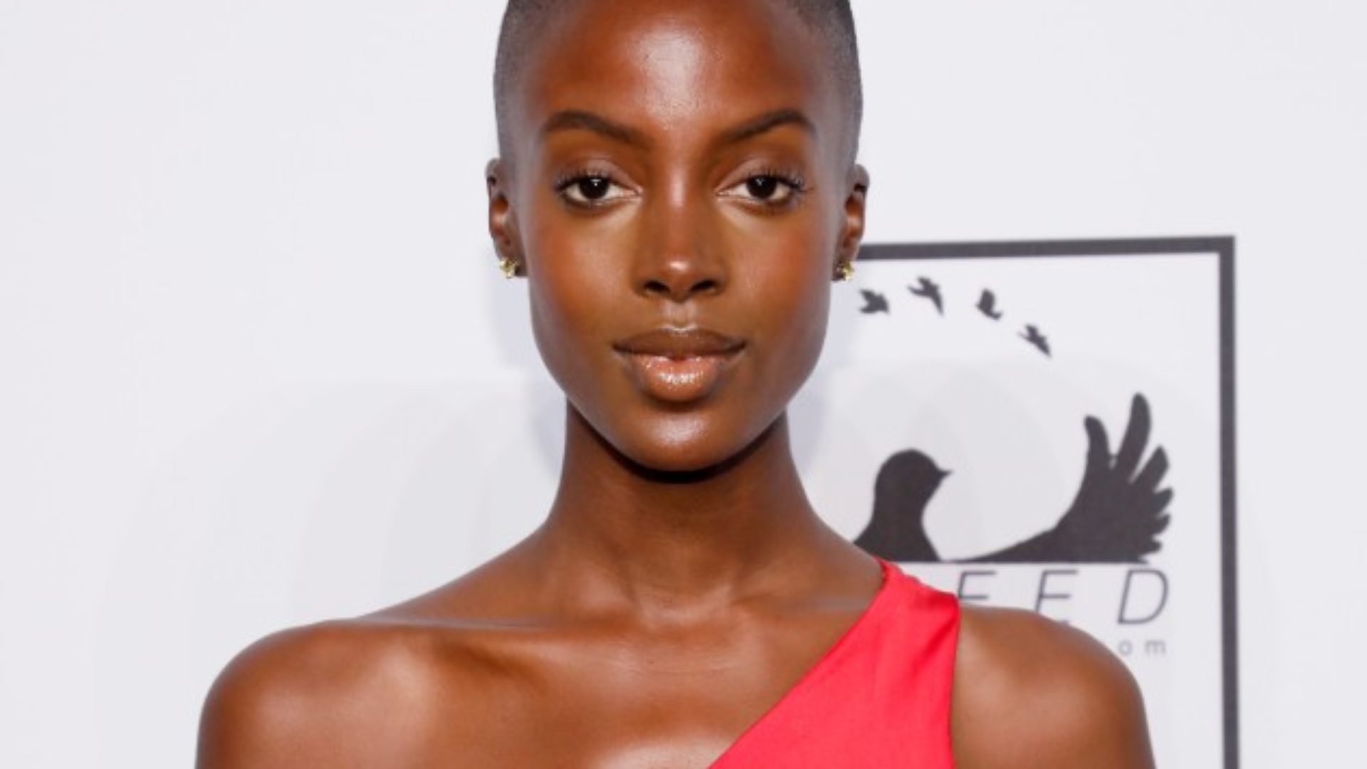 20 Beautiful Black Women Proudly Rocking Bald Heads And Low Cuts