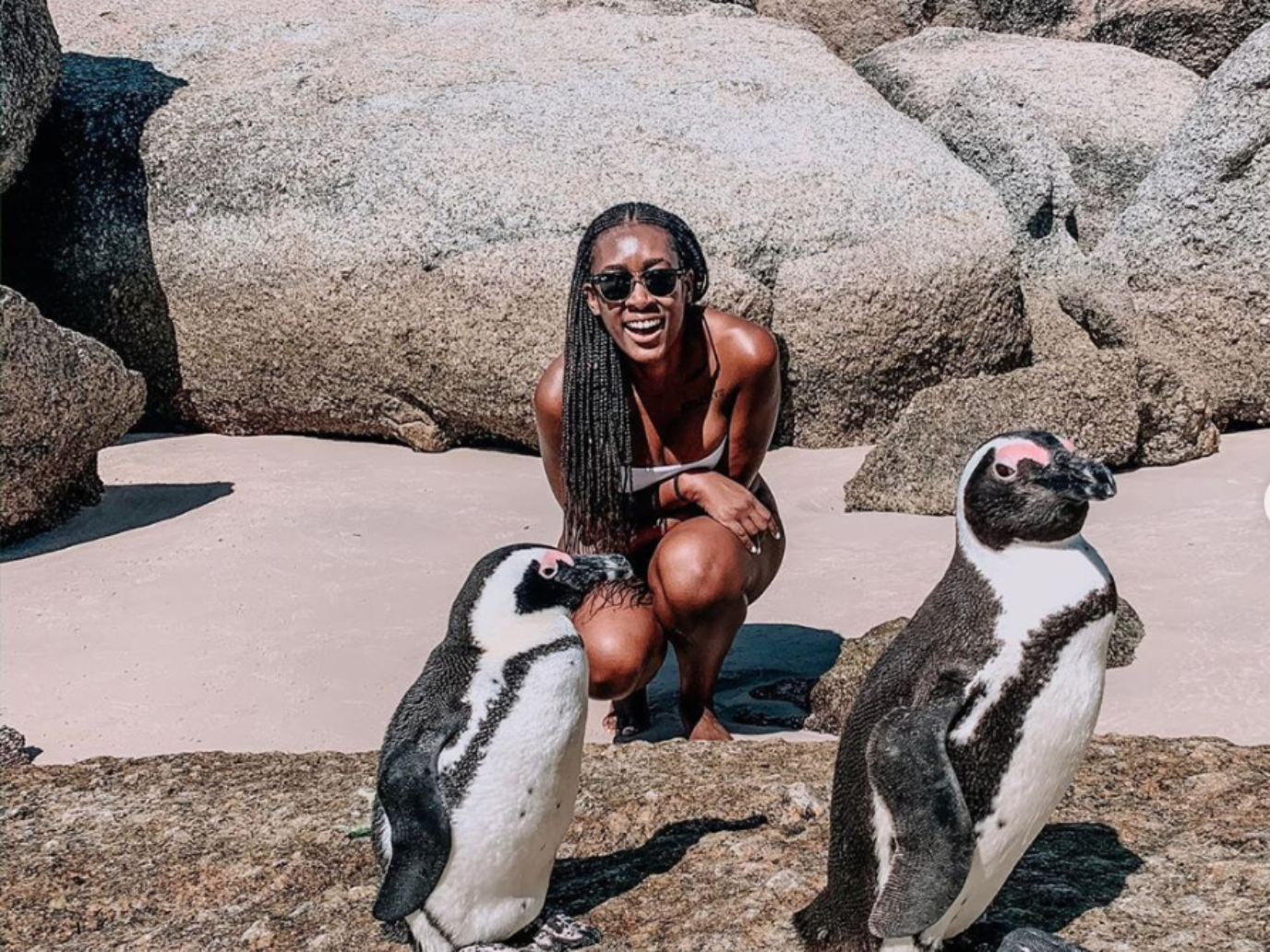 Black Travel Vibes: Hang With Penguins In Cape Town