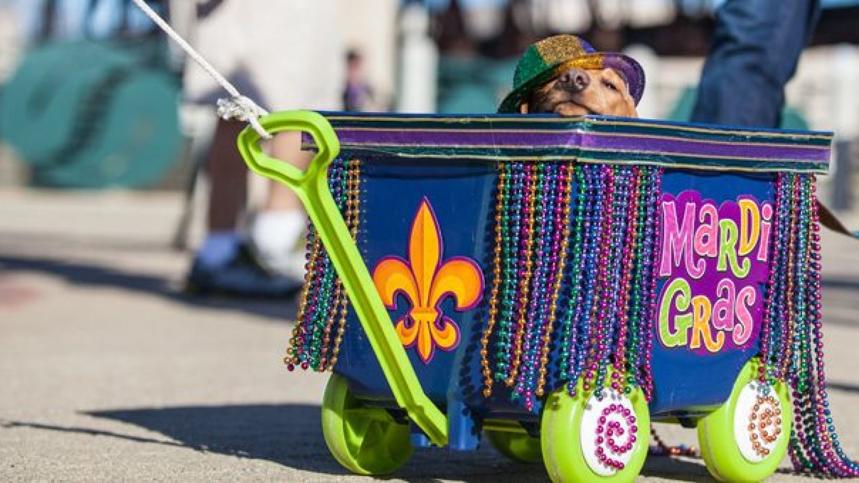 Headed To NOLA For Mardi Gras? Check Out What's Also Happening In Baton Rouge, Shreveport & Lafayette