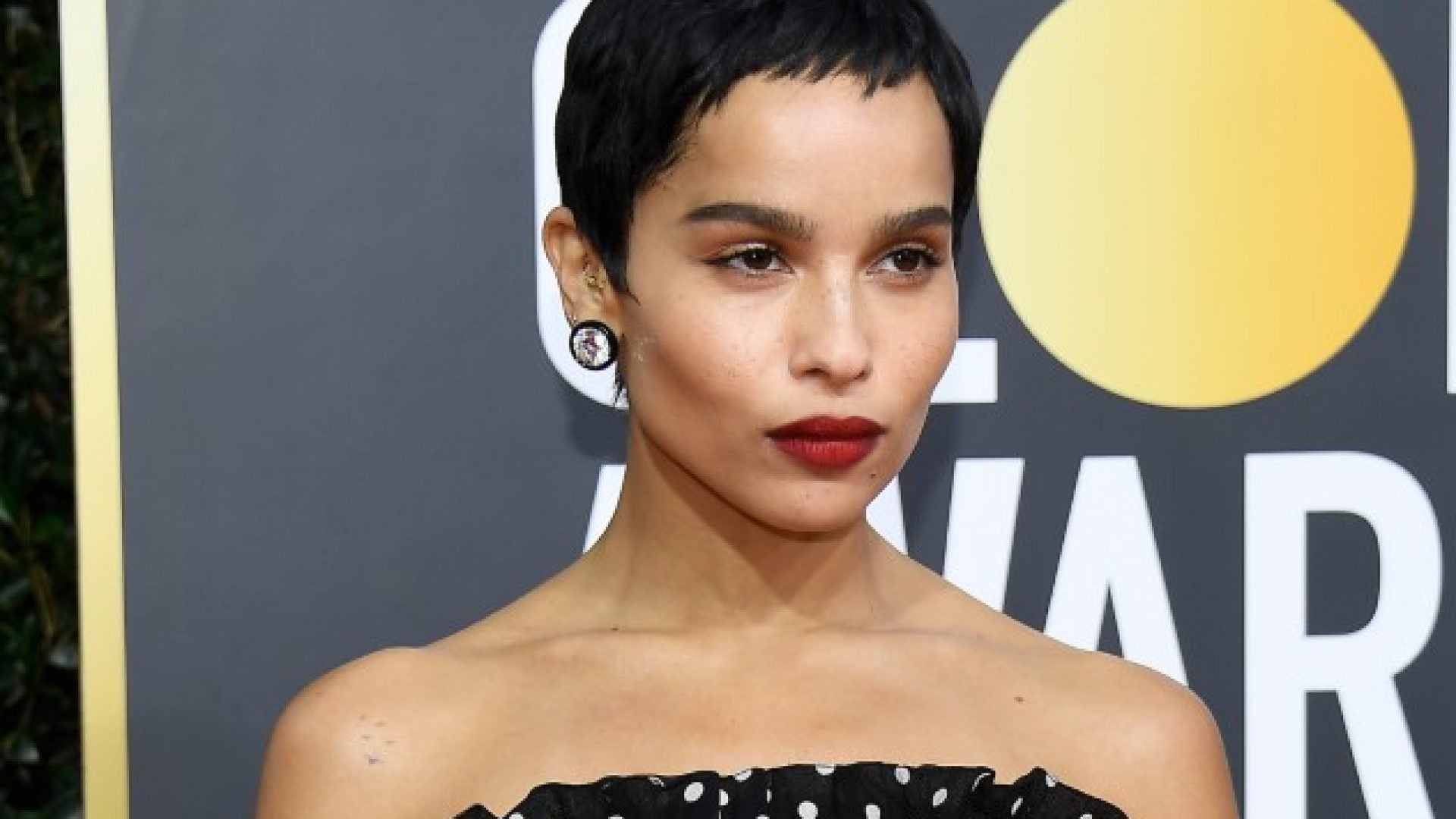 Red Carpet Beauty From The 77th Annual Golden Globe Awards