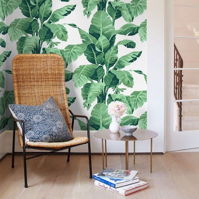 Make Your Home Pop With Stylish Removeable Wallpaper - Essence