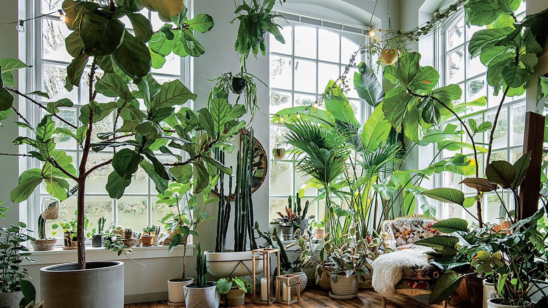 Plant Stylist Hilton Carter Creates Homes That Will Make You Green With Envy