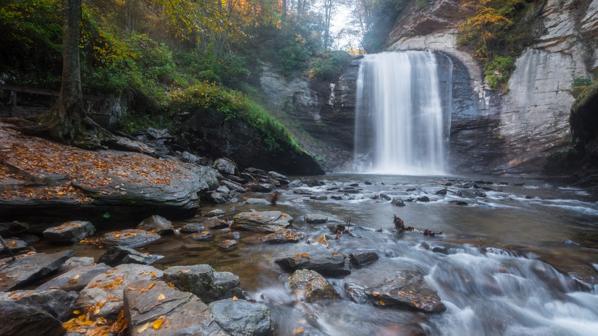 Fall Is Almost Here! 10 Easy To Visit Places Known For Gorgeous Fall Foliage