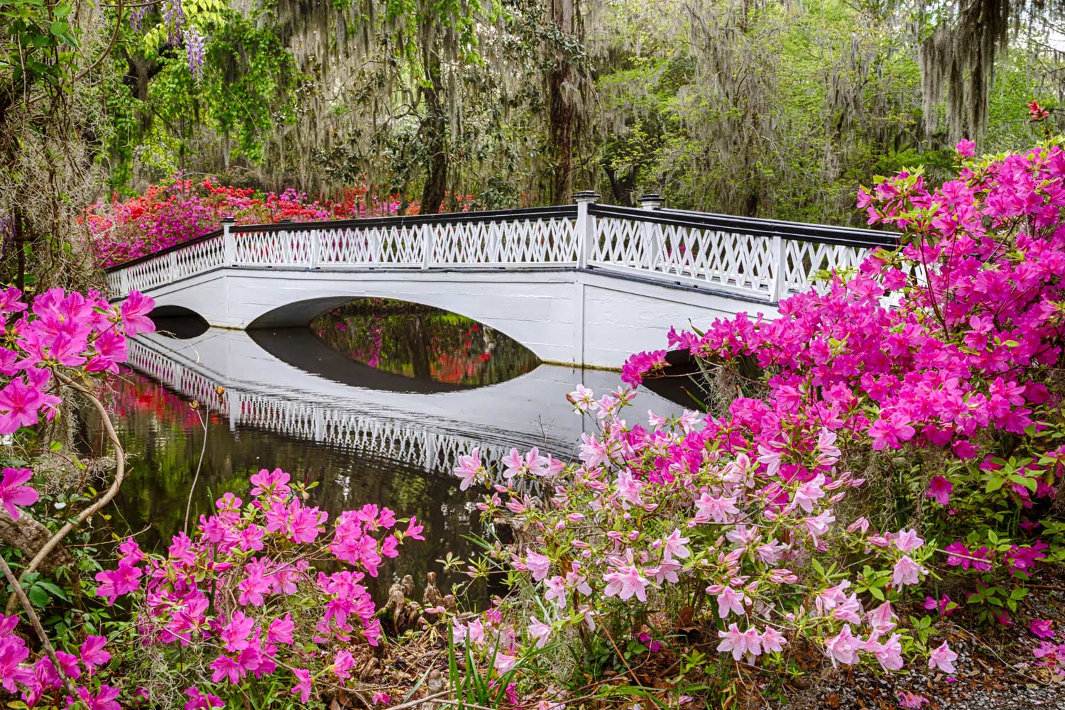 Get Lost: 72 Hours Exploring Charleston’s Southern Charm