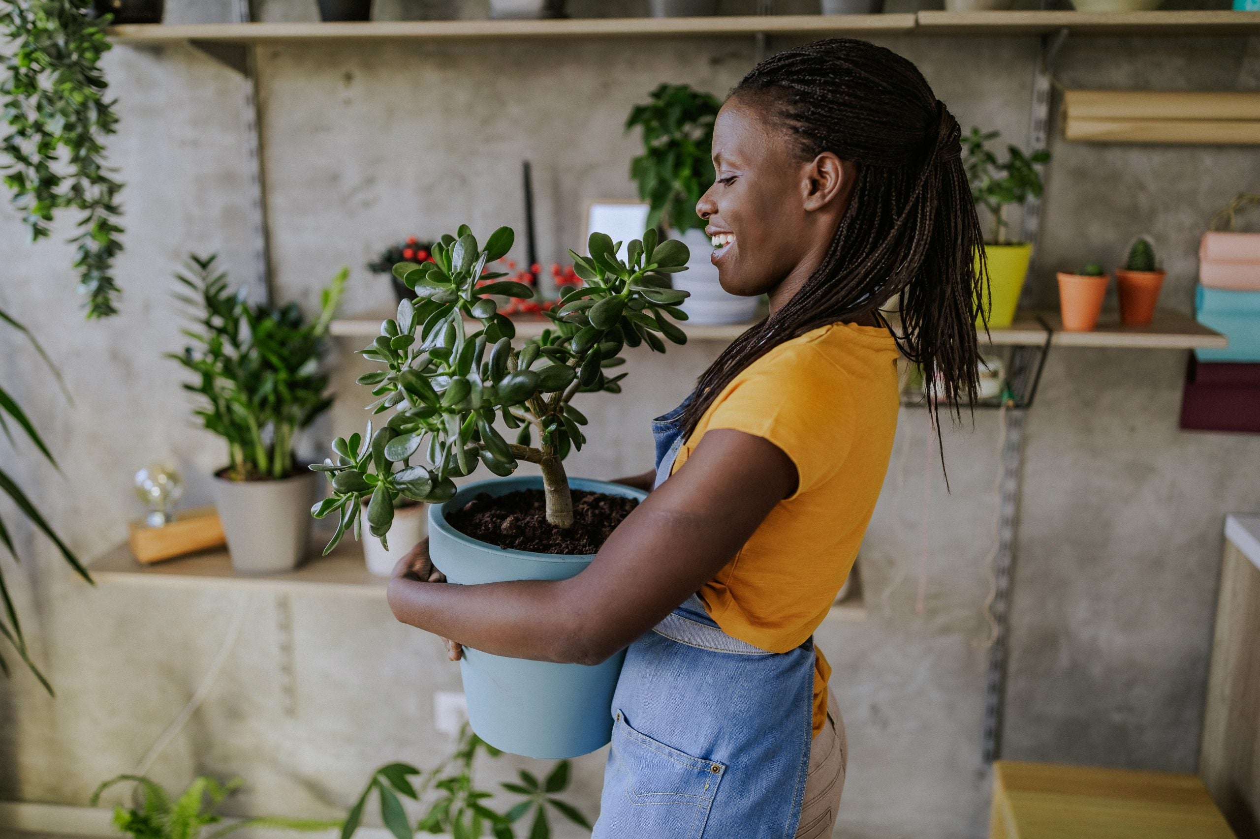 So You Want To Be A Plant Mom: 11 Things To Know Before Buying Your ...