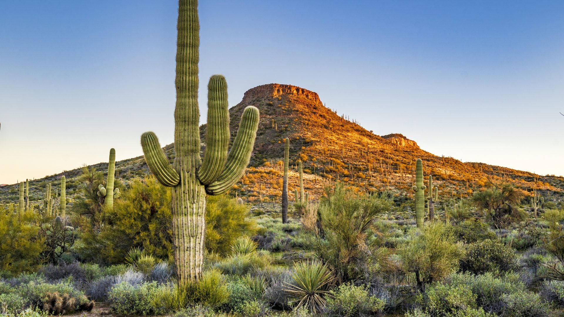 Get Lost: A Socially Distant 72 Hours In Scottsdale