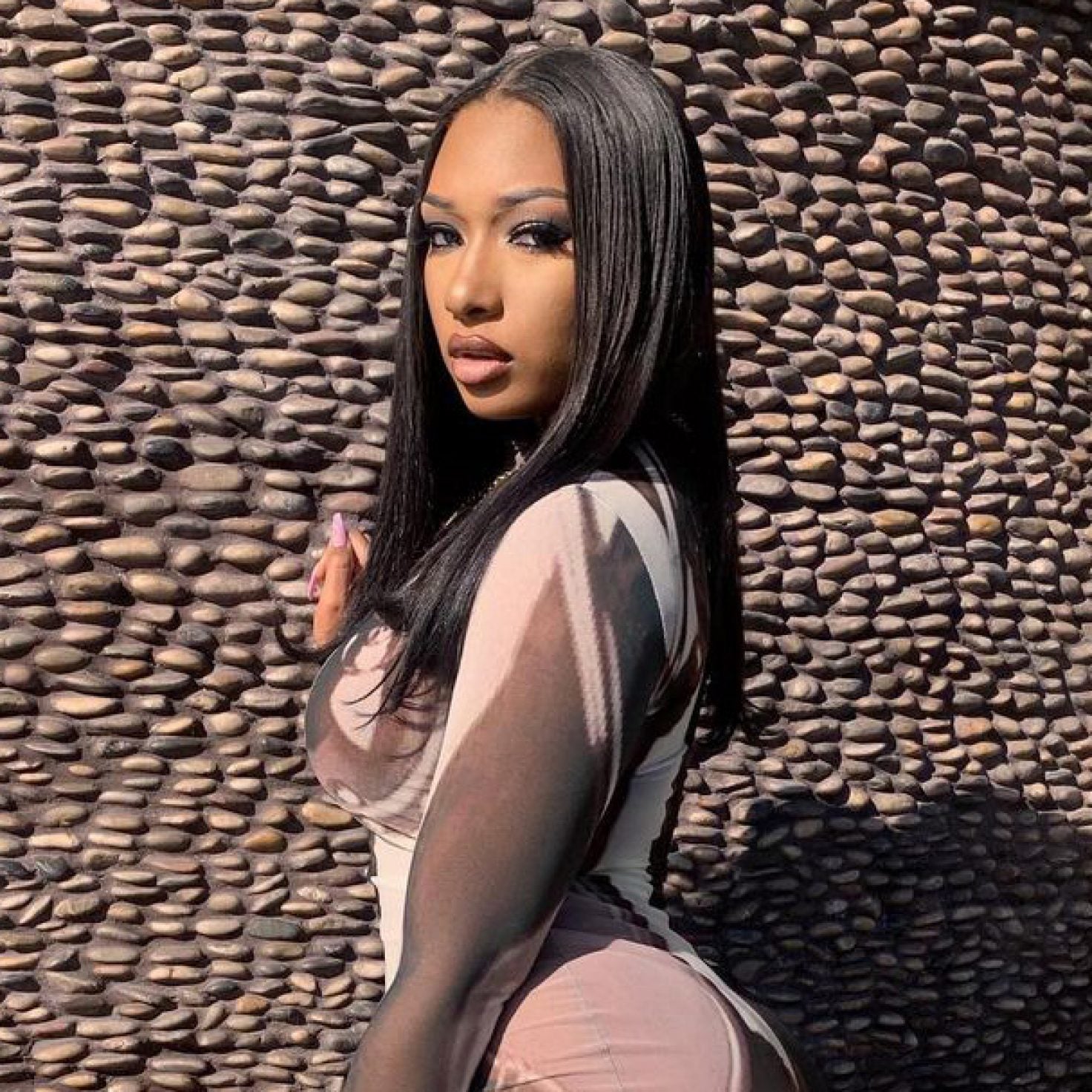 Megan Thee Stallion Shows Off Natural Hair Essence