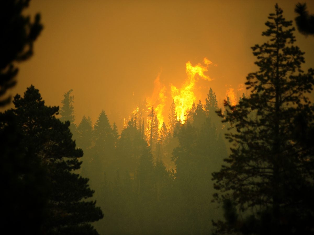 Caldor Wildfire Spreading to Lake Tahoe, Forces Mass Evacuations