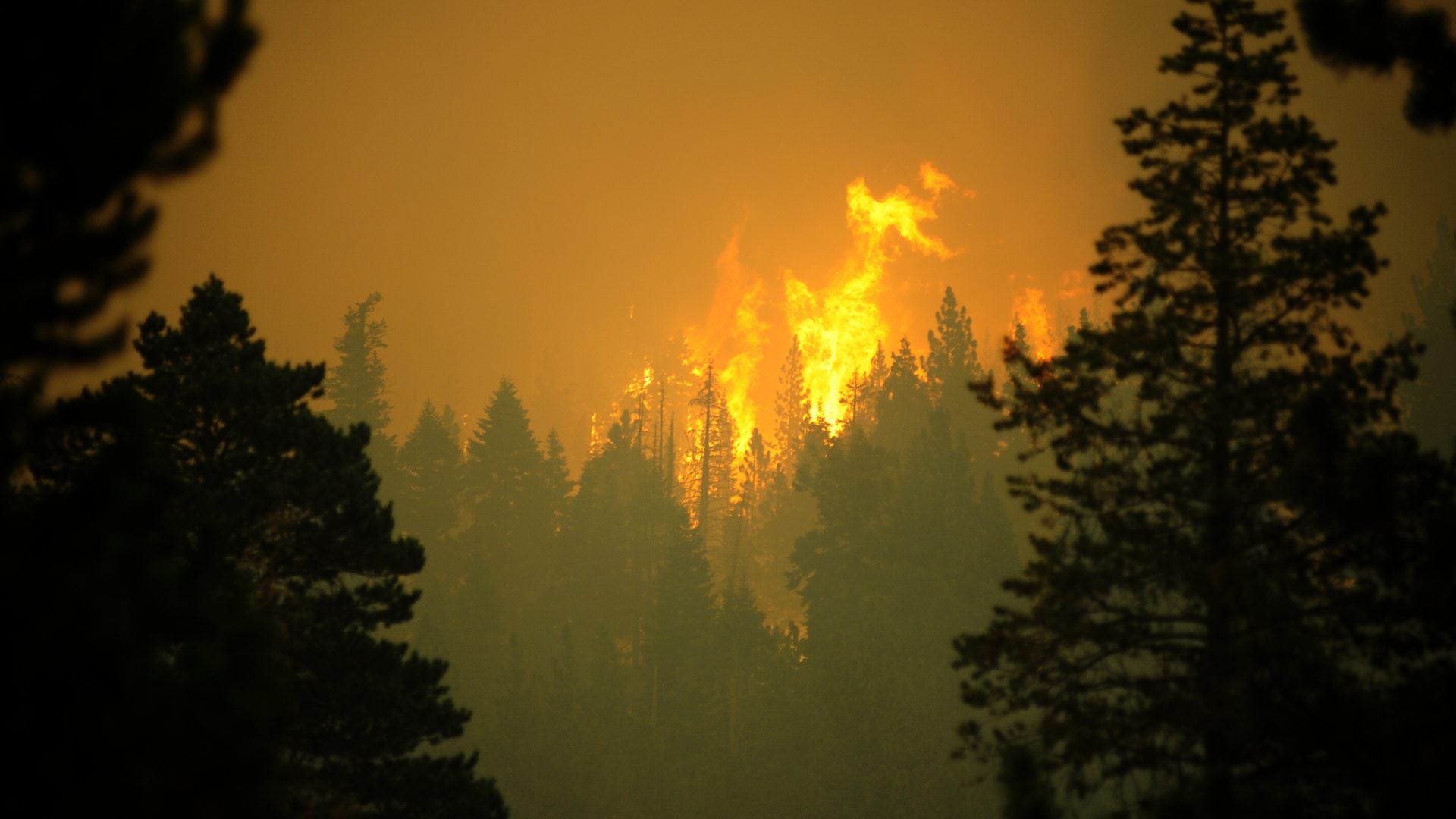 Caldor Wildfire Spreading to Lake Tahoe, Forces Mass Evacuations