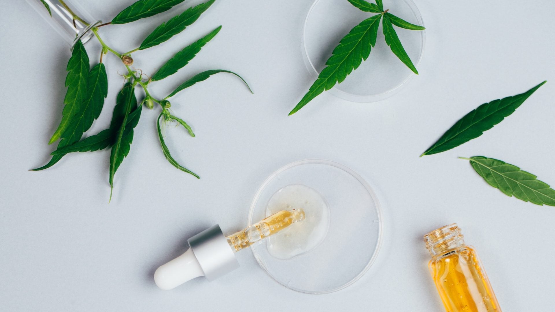 The Holiday CBD Gift Guide You've Been Waiting For All Season Long