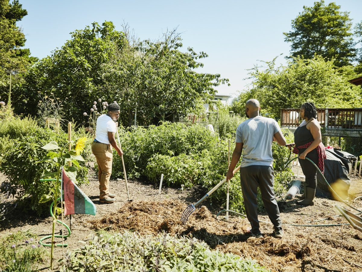 The U.S. Department of Energy (DOE) Launches Fund For Organizations Prioritizing Climate Solutions For Black Communities