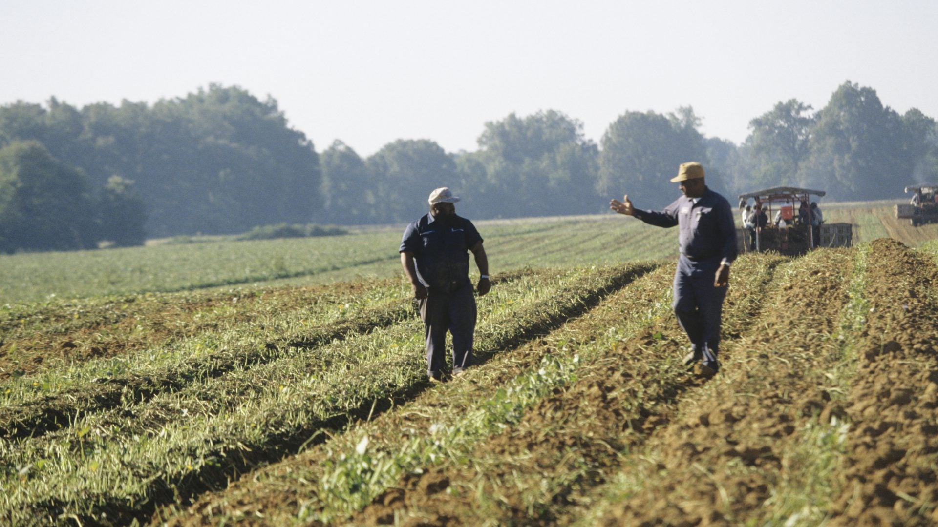 Black Farmers Say They Lost Jobs To White South Africans Who Arrived On Guest Worker Visas