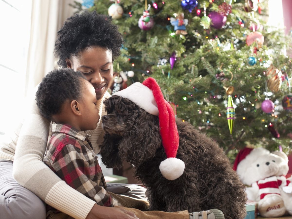 More People Plan To Buy Gifts For Pets Than People This Year