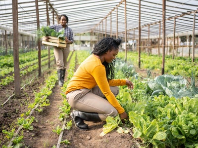 White Farmers Sued The Government Over 'Reverse Racism' Claims. Now ...