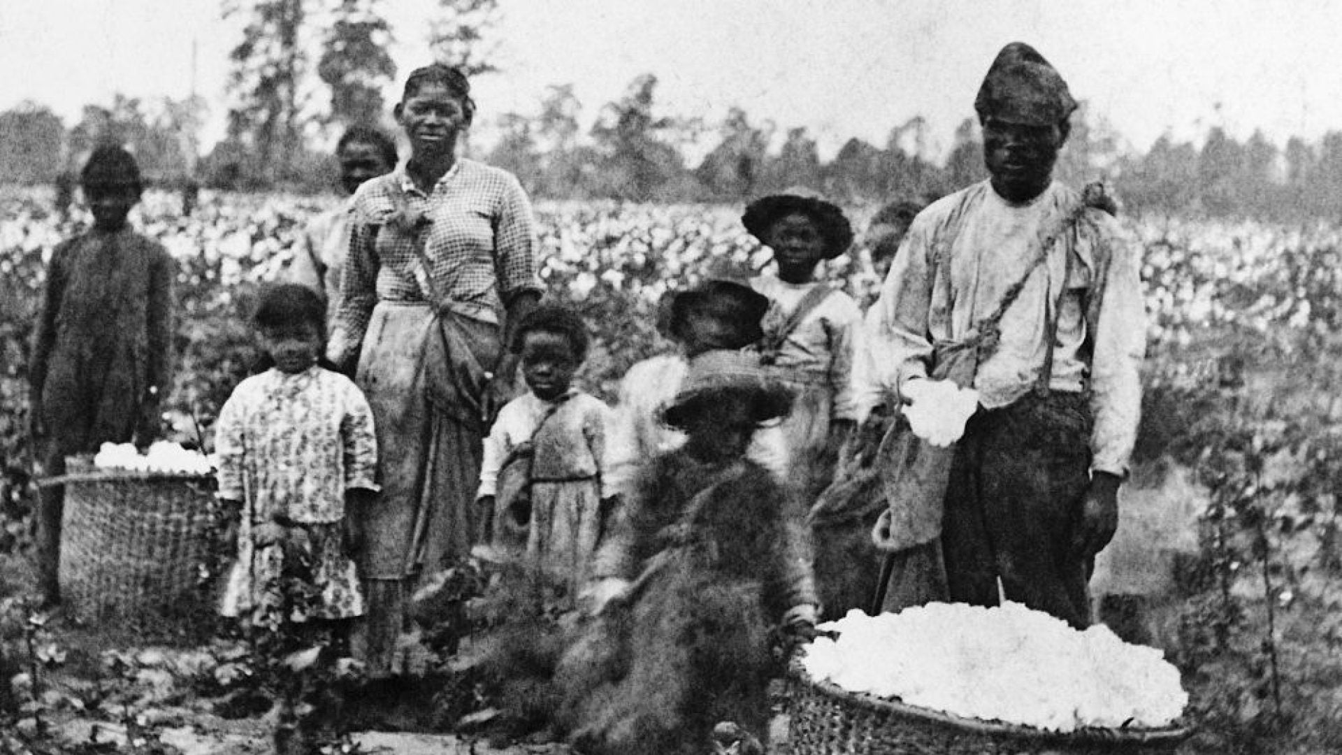 How Gynecology Was Built On The Pain Of Enslaved Black Girls