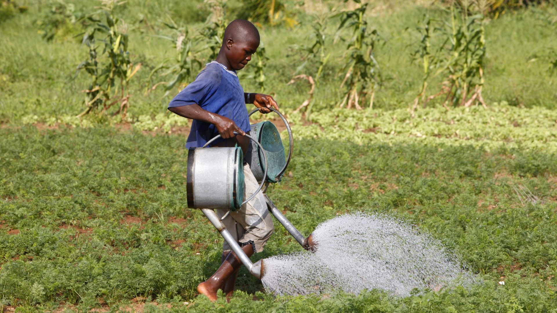 America Is Really Going Back To Child Labor