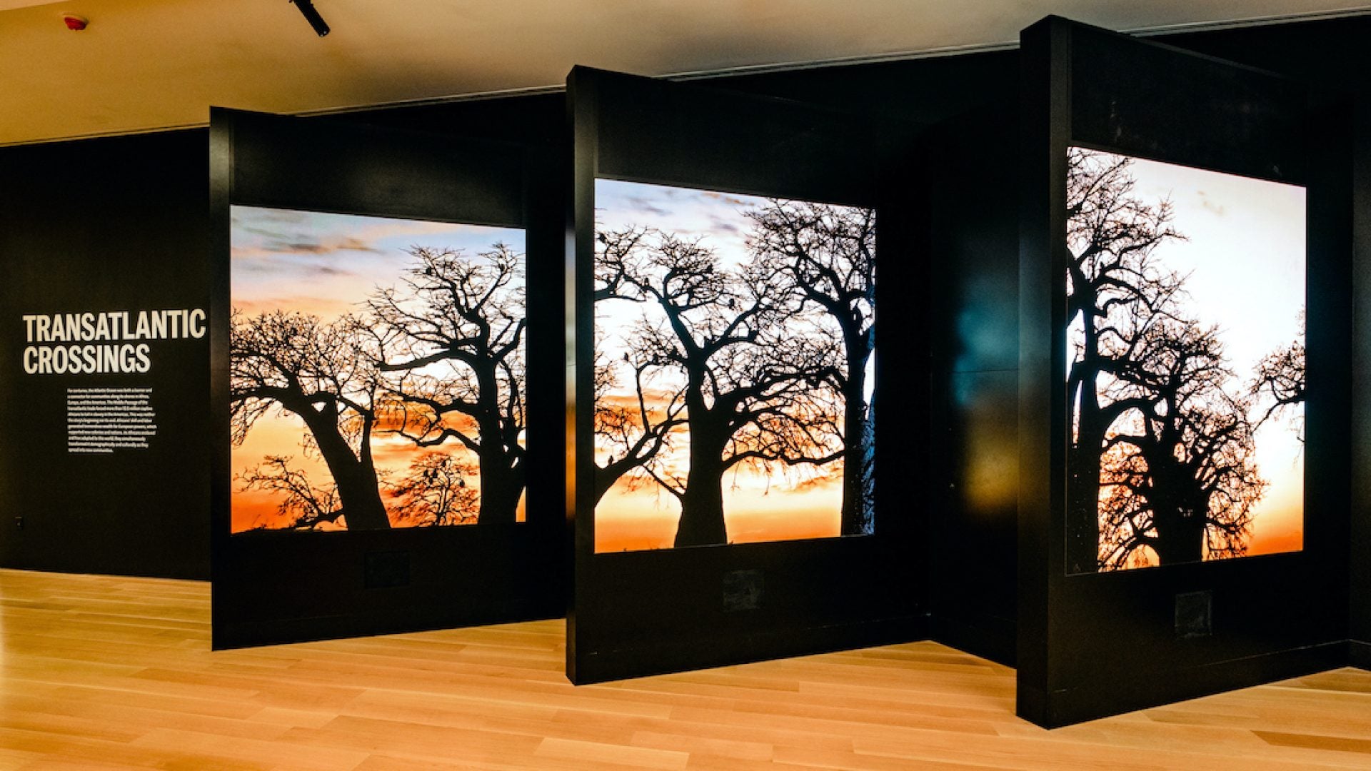 South Carolina's International African American Museum Is A Must See