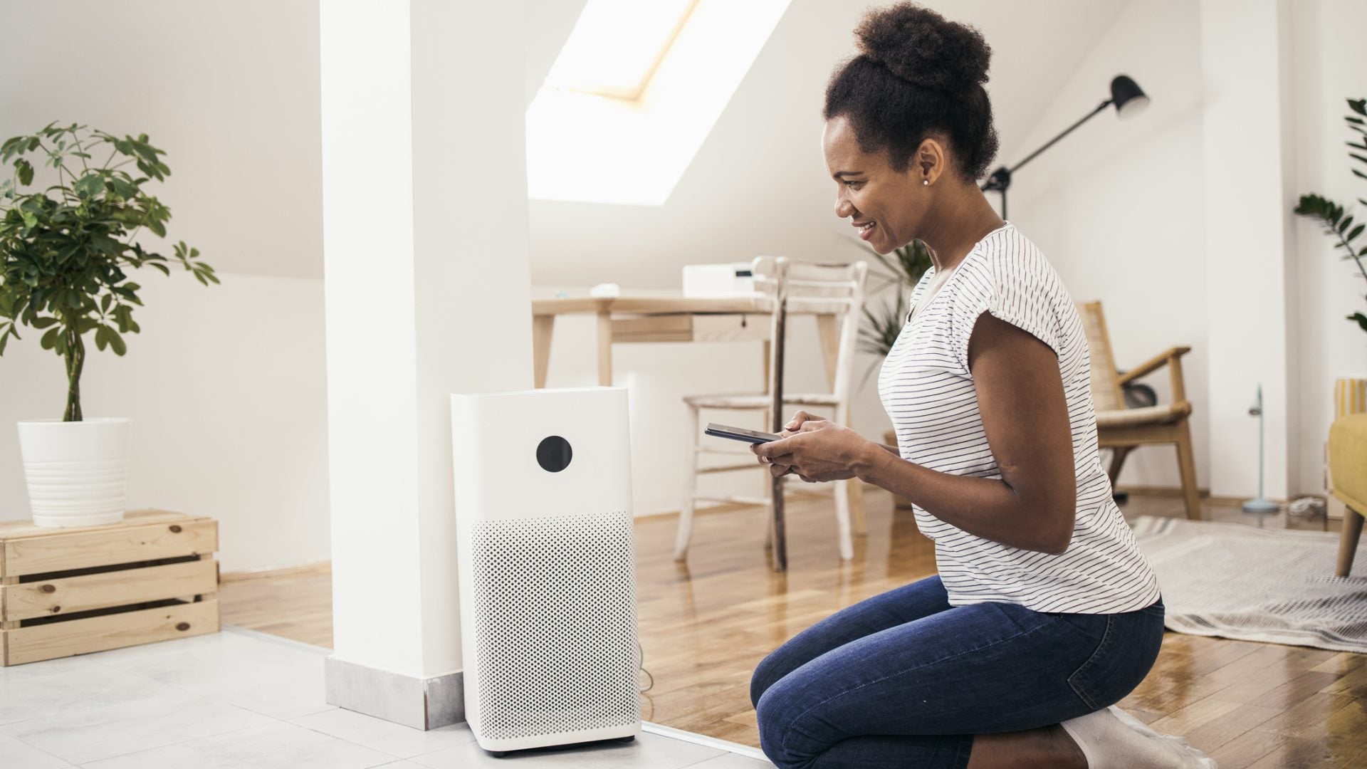 5 Air Purifiers To Try If You’re Feeling The Effects Of The Canadian Wildfires