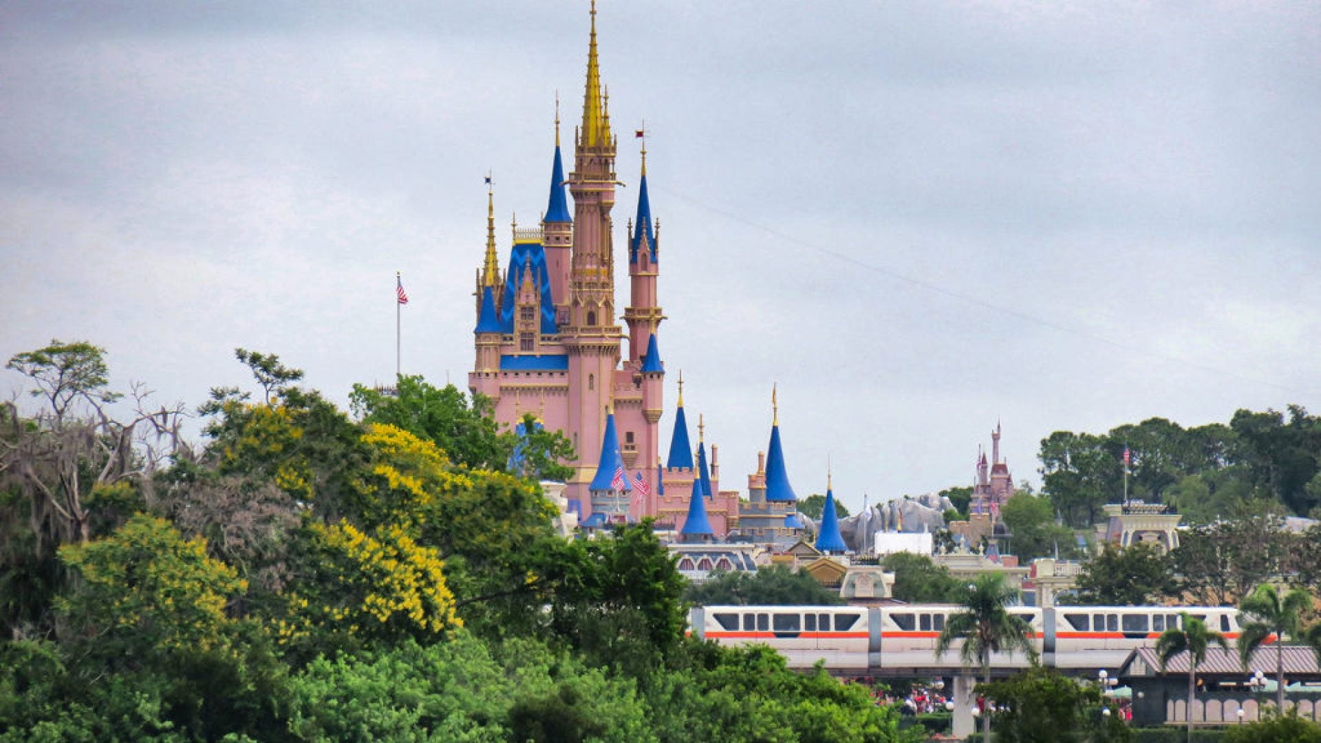 Disney World, The Place Where Dreams Can Come True— But Not DEI