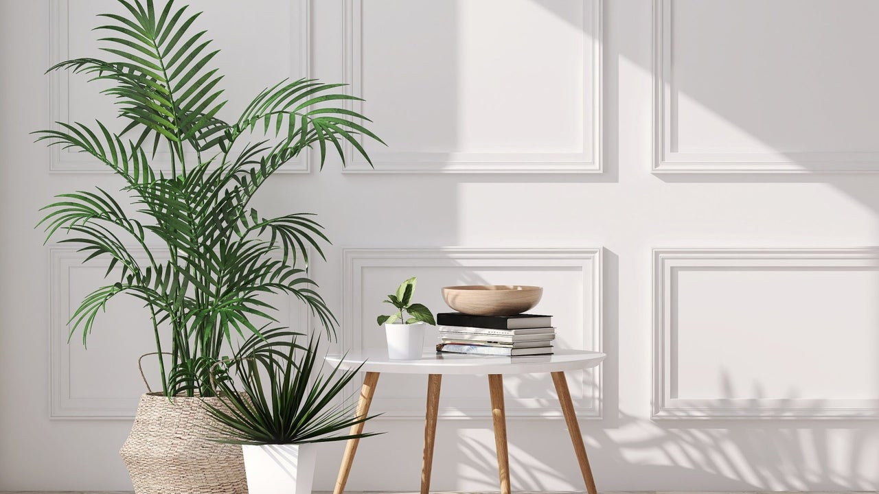 Where To Buy Artificial Houseplants That Look Like The Real Thing | Essence