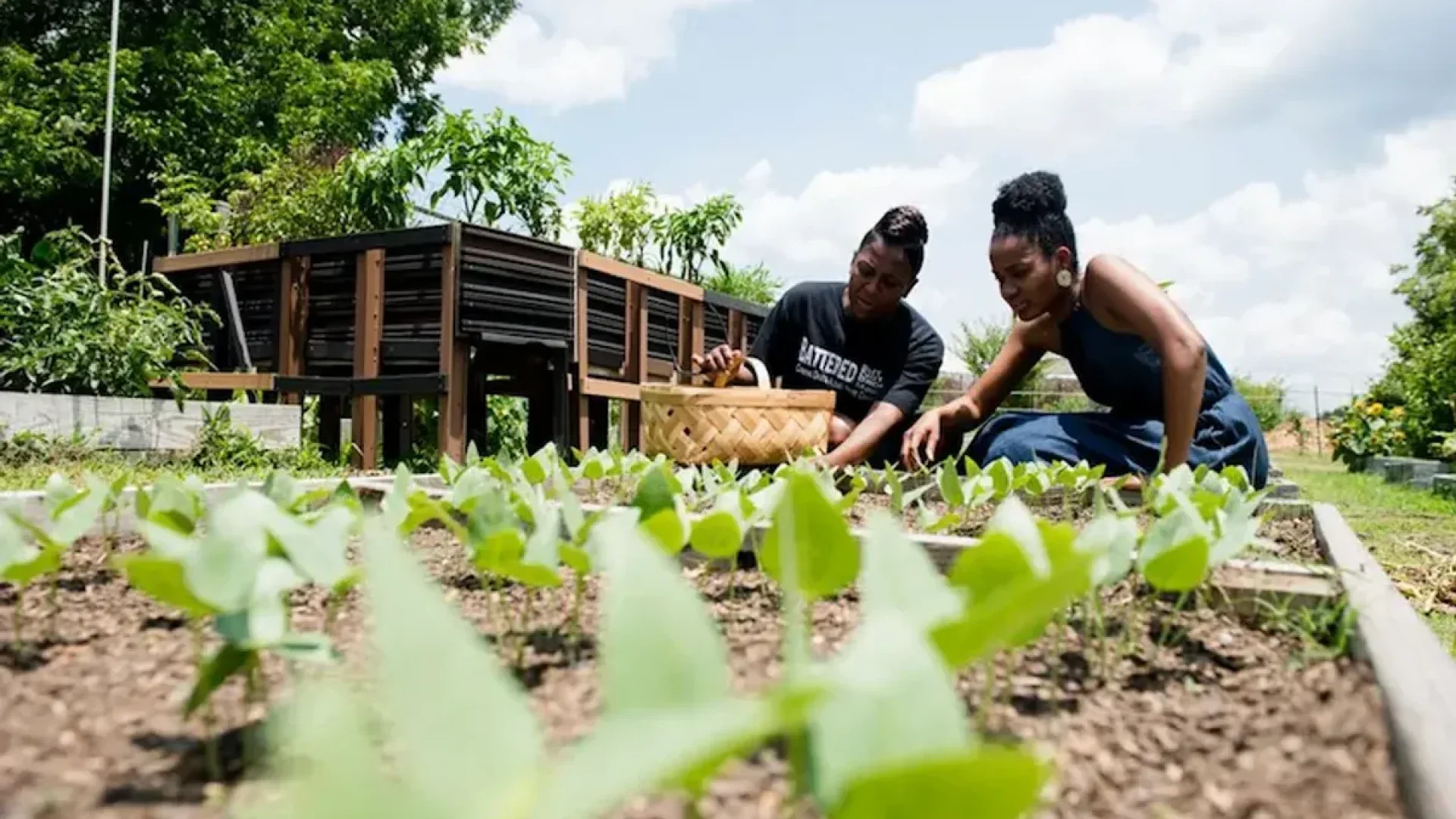 This Black Woman Is Working To Help Black People Keep Their Land