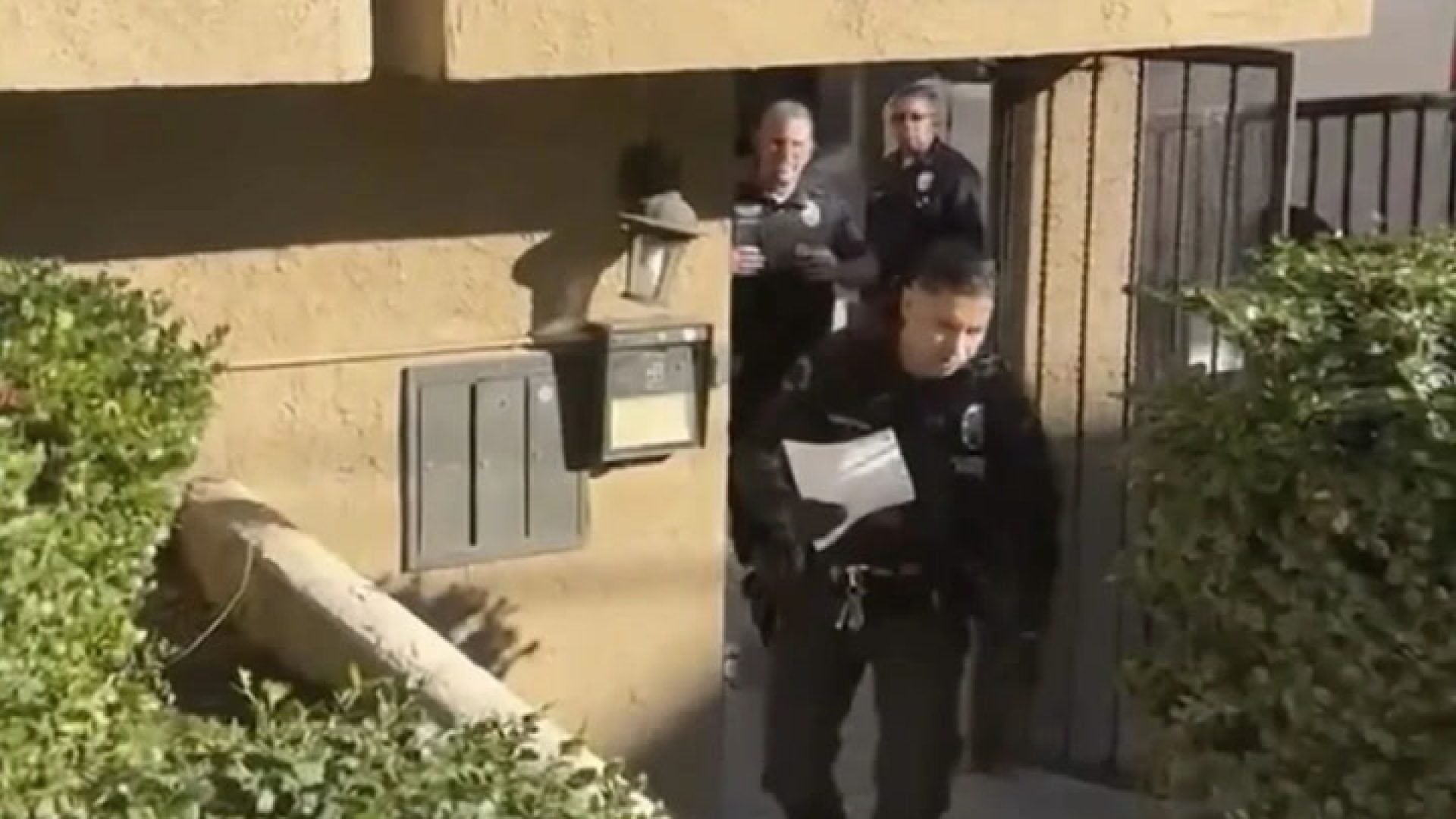 WATCH: In My Feed – Black Lives Matter Attorney Says LAPD Raided His Home