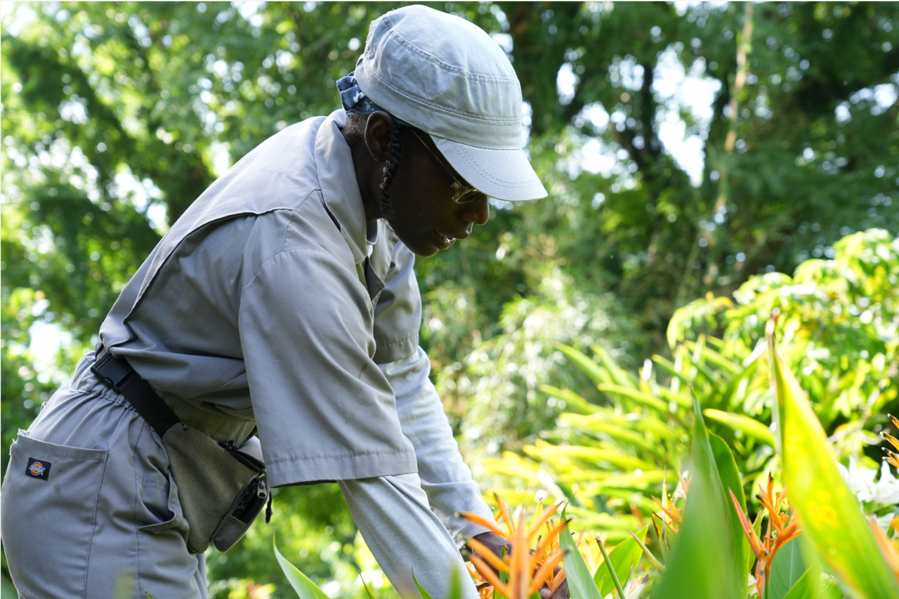 A Black Woman Is Behind The ‘Garden of Eden’ Where People From All Over