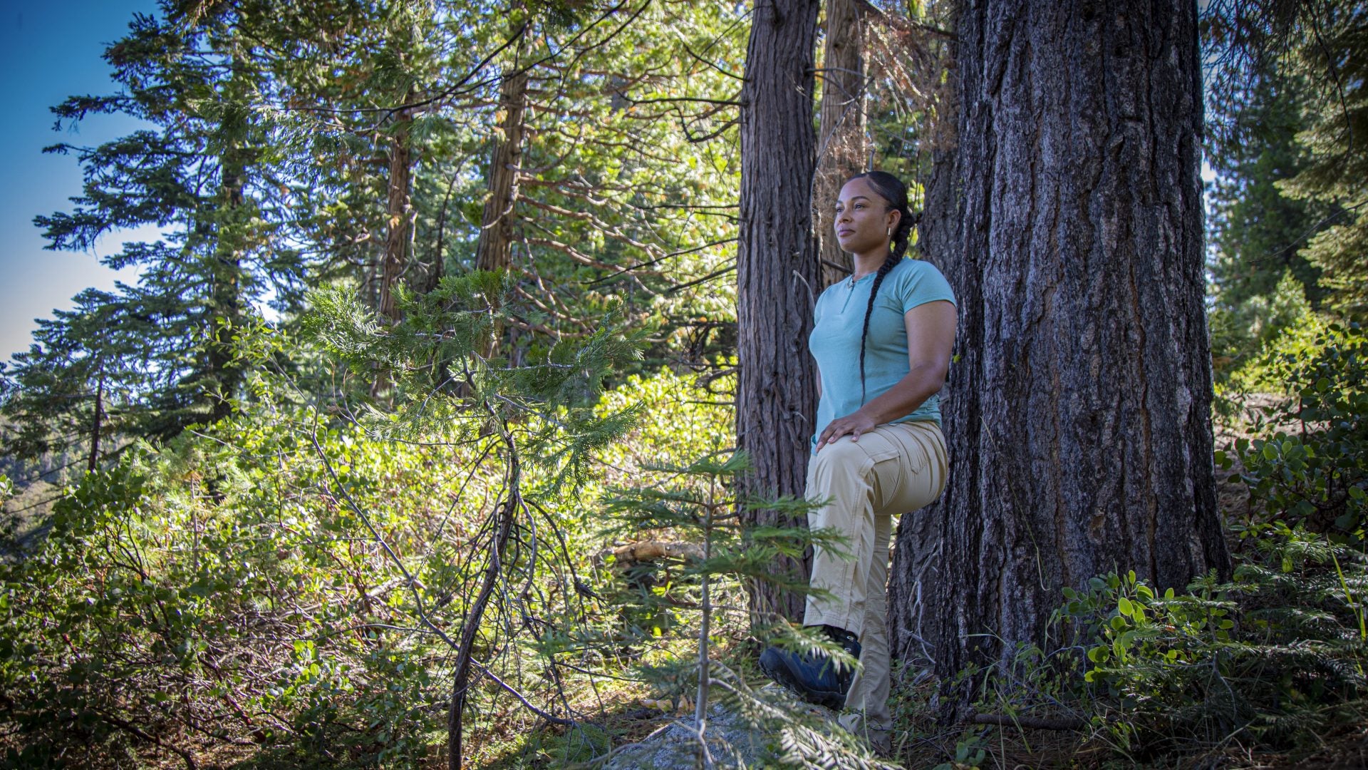 California’s First And Only Black-Led Land Trust Acquires 650 Acres, Prepares To Break Ground