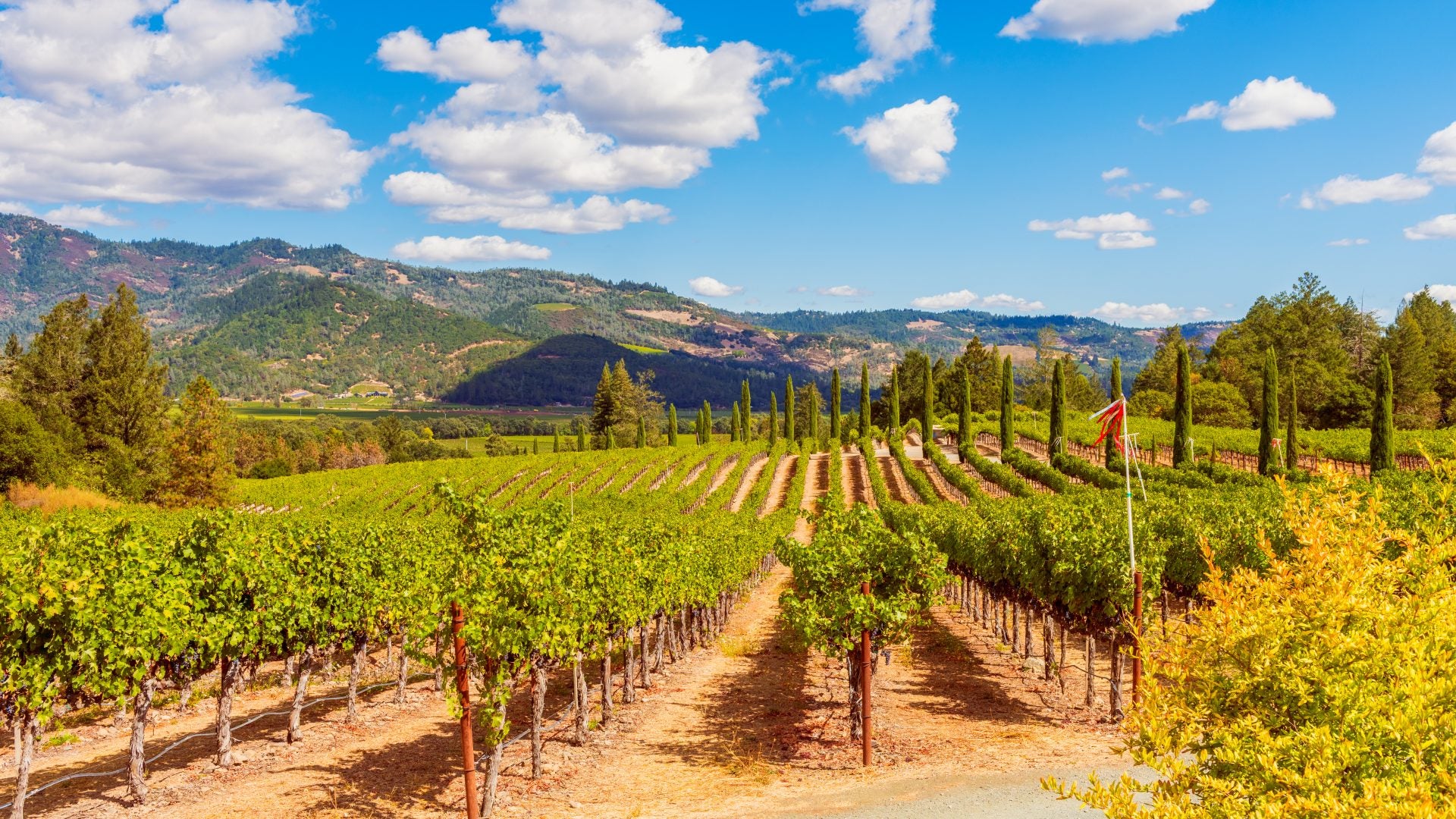 A Black Girl’s Guide To Napa Valley