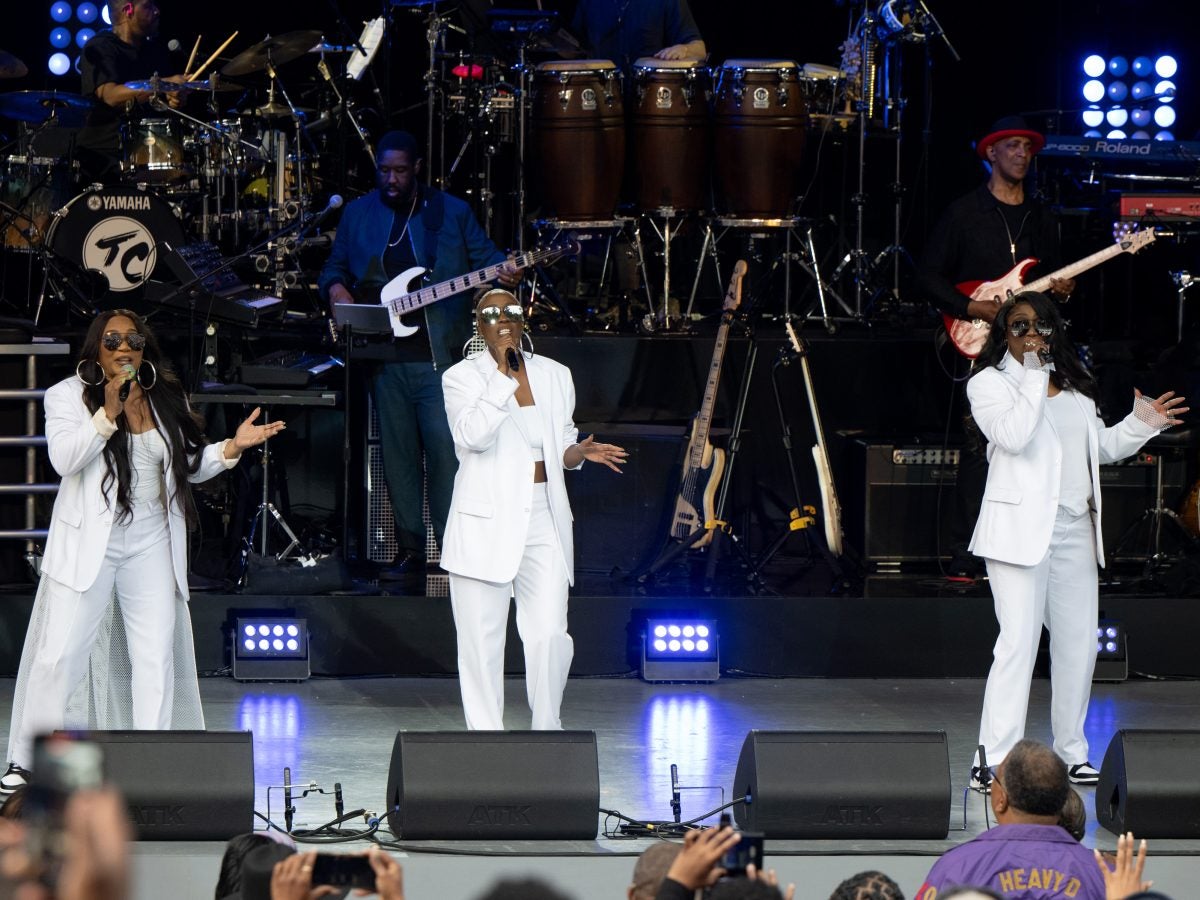 Vibrant Essence Festival 2025 Concert Crowd