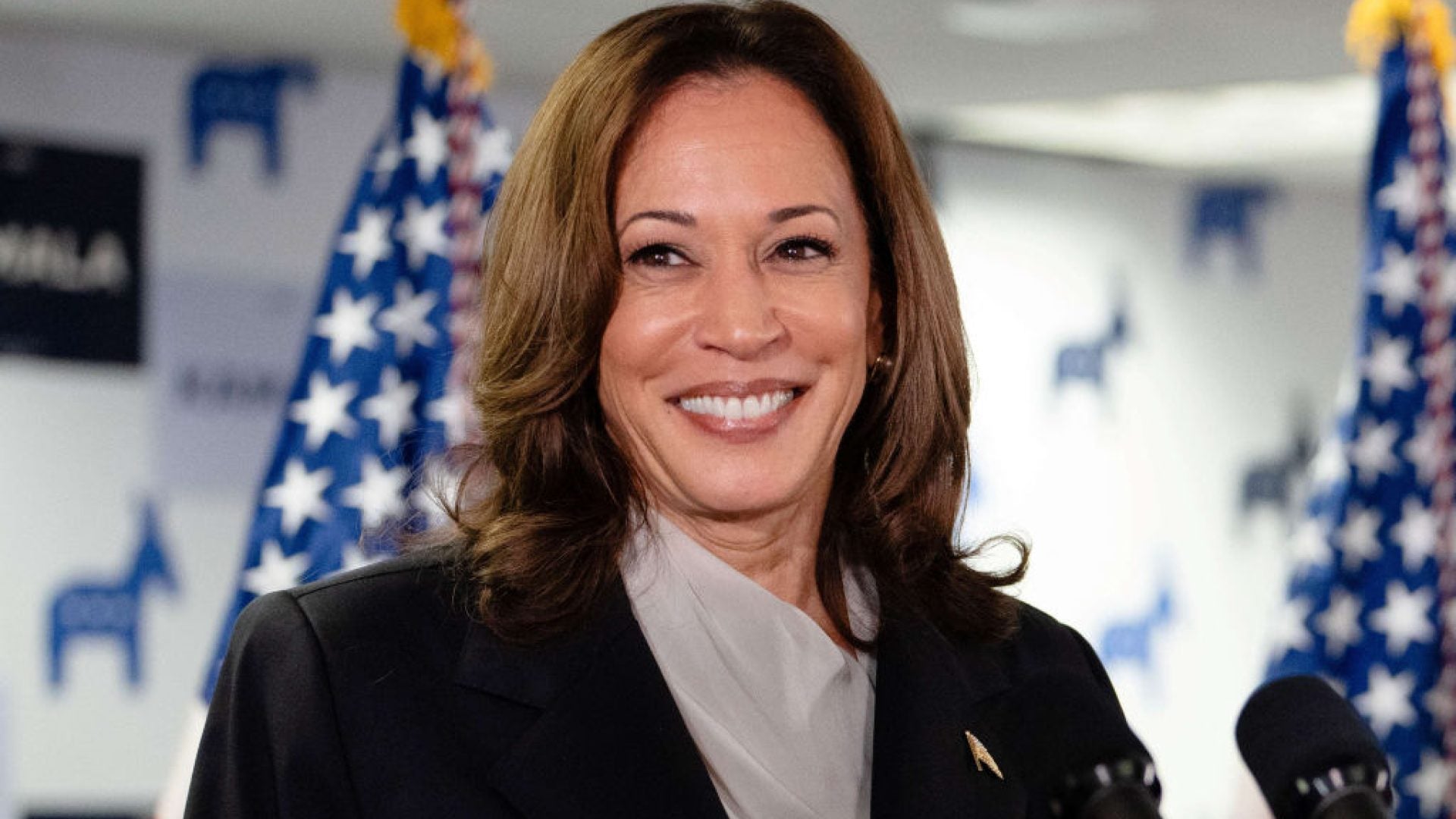 Black Men Are Also With Her: Thousands Join Zoom Call, Raise Over $1 Million For Kamala Harris’ Presidential Campaign