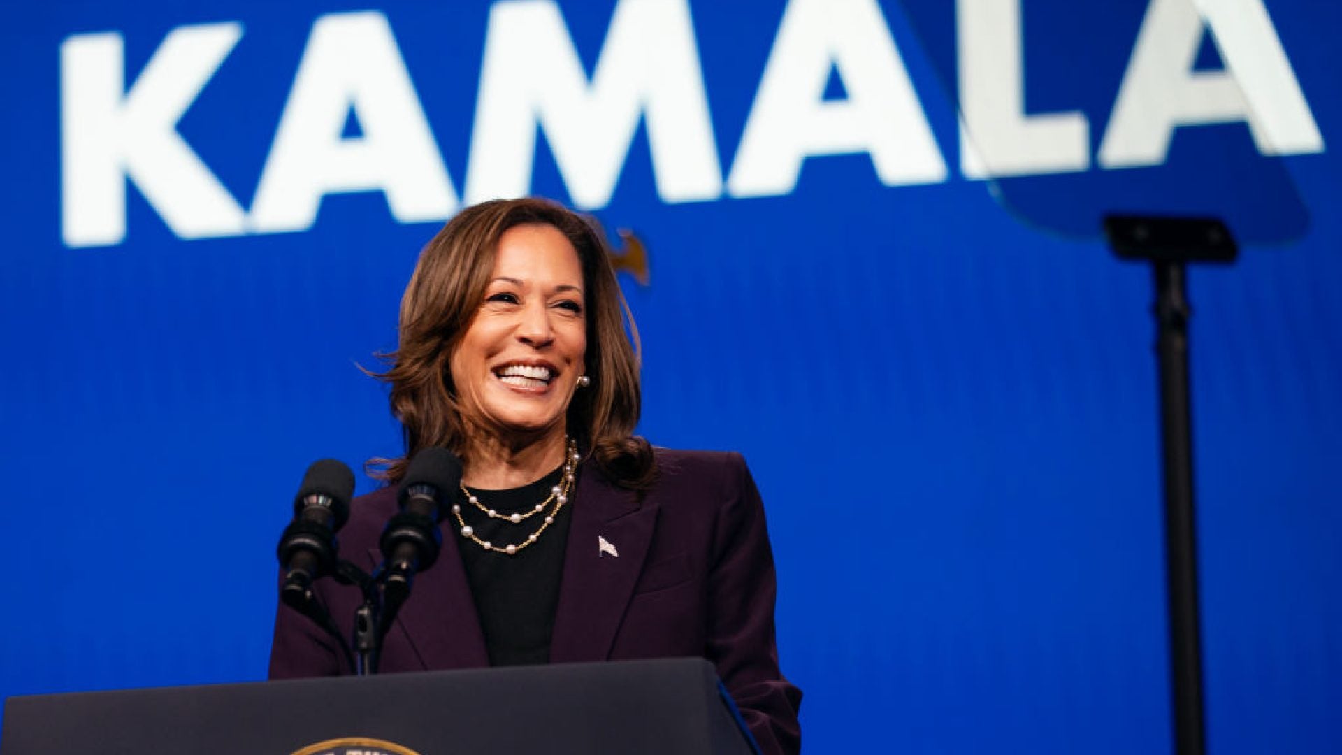 Caribbean Americans "Rally For Kamala": Sheryl Lee Ralph And Tatyana Ali Headline National Call In Support Of The 2024 Harris Presidential Campaign