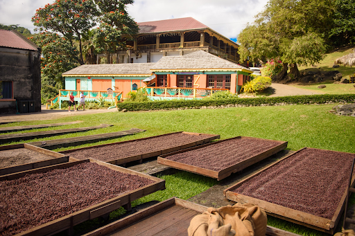 Going To Grenada For Carnival? Check Out This Black-Woman Owned Plantation