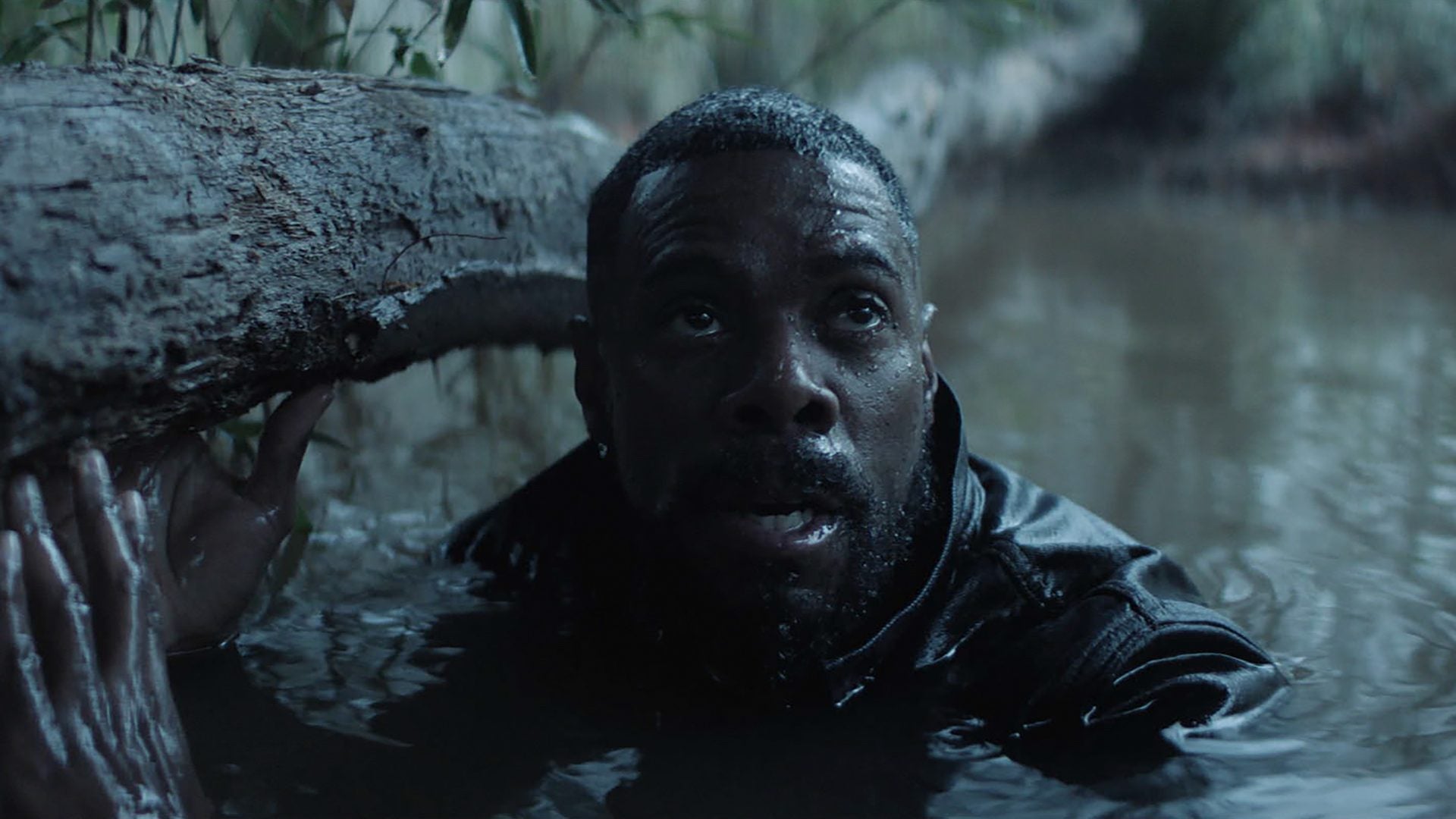 First Look: Colman Domingo Stars In New Thriller, ‘The Madness’