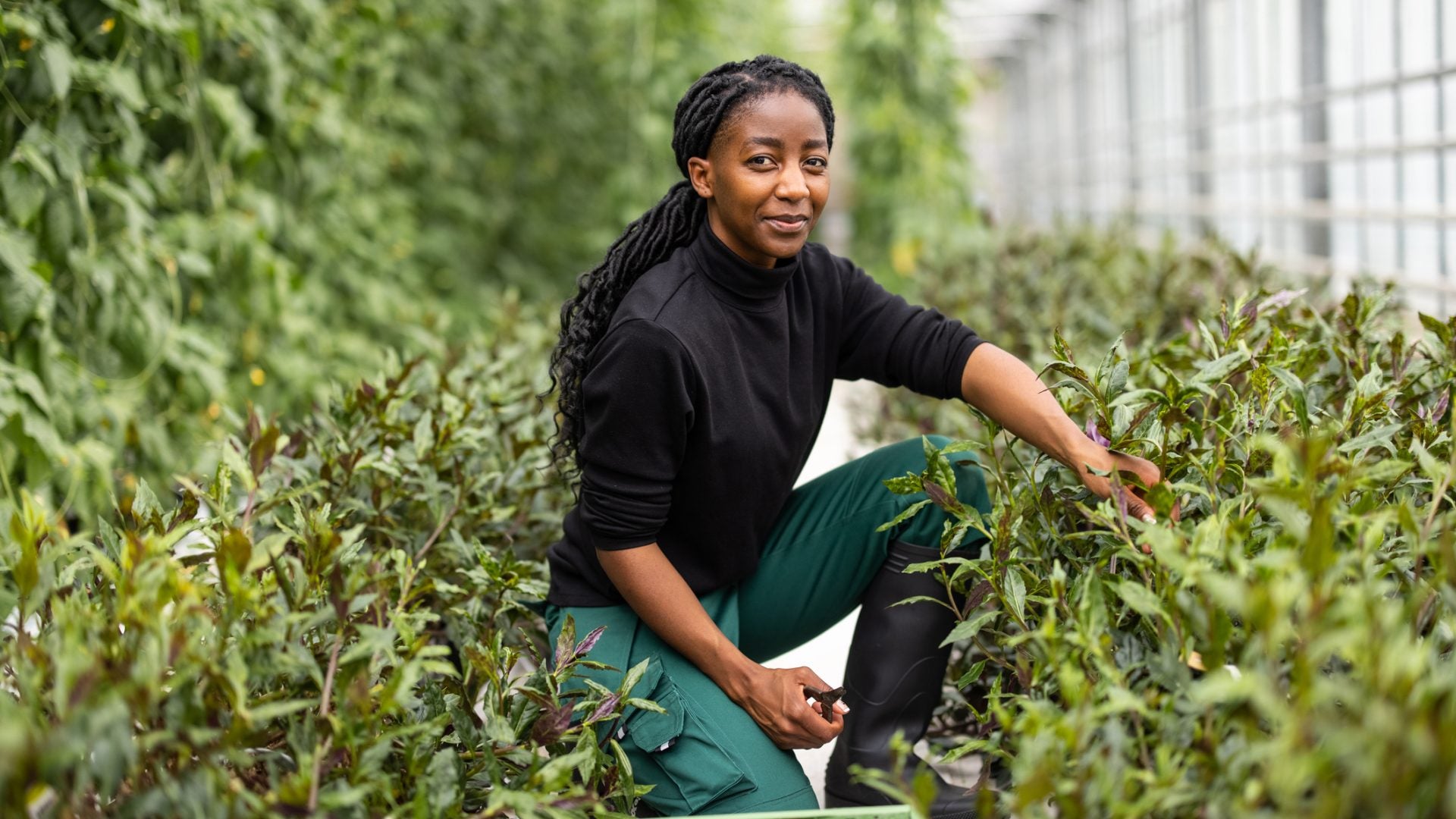 Black Farmers Receive $2M Boost For A Sustainable Food System