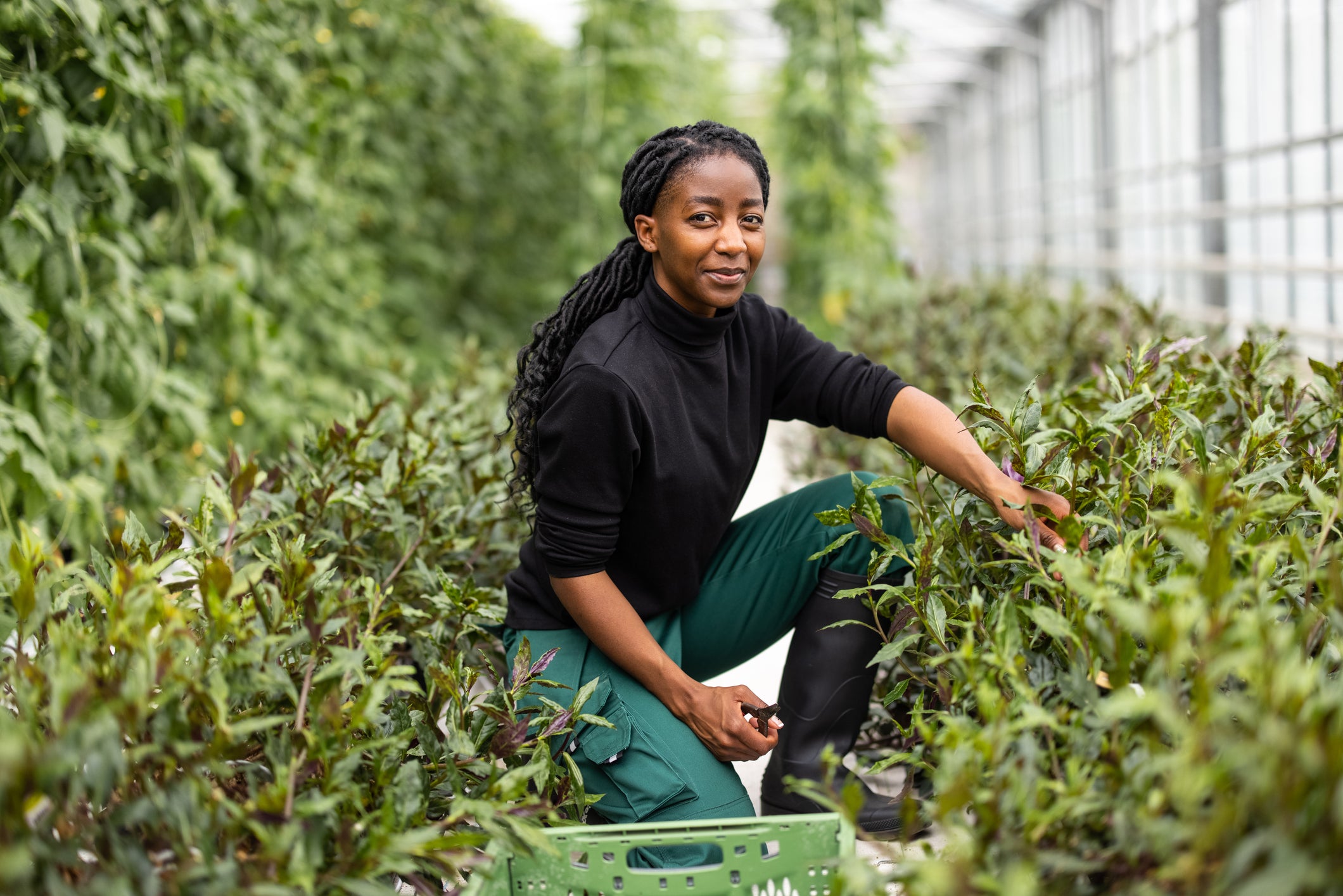 Black Farmers Receive $2M Boost For A Sustainable Food System