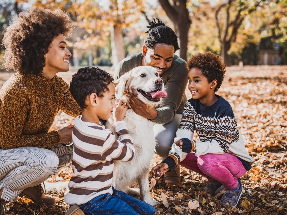 The Everyday (And The Unusual) Of Pet Insurance Stories