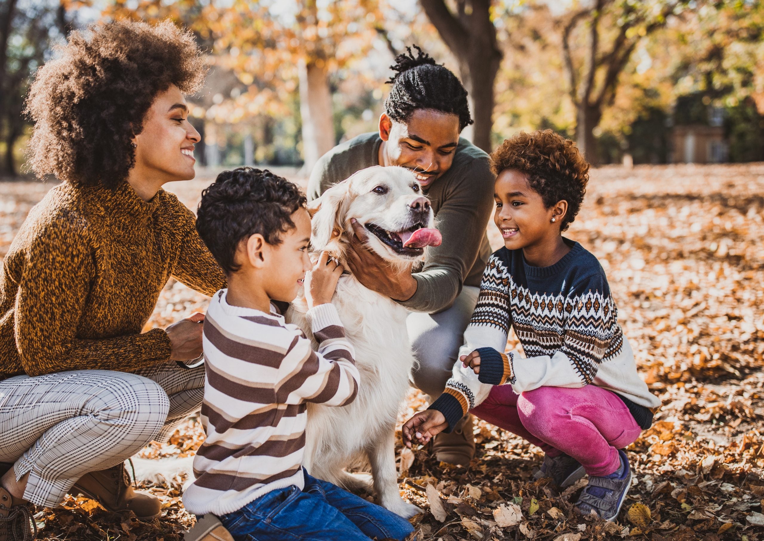 The Everyday (And The Unusual) Of Pet Insurance Stories