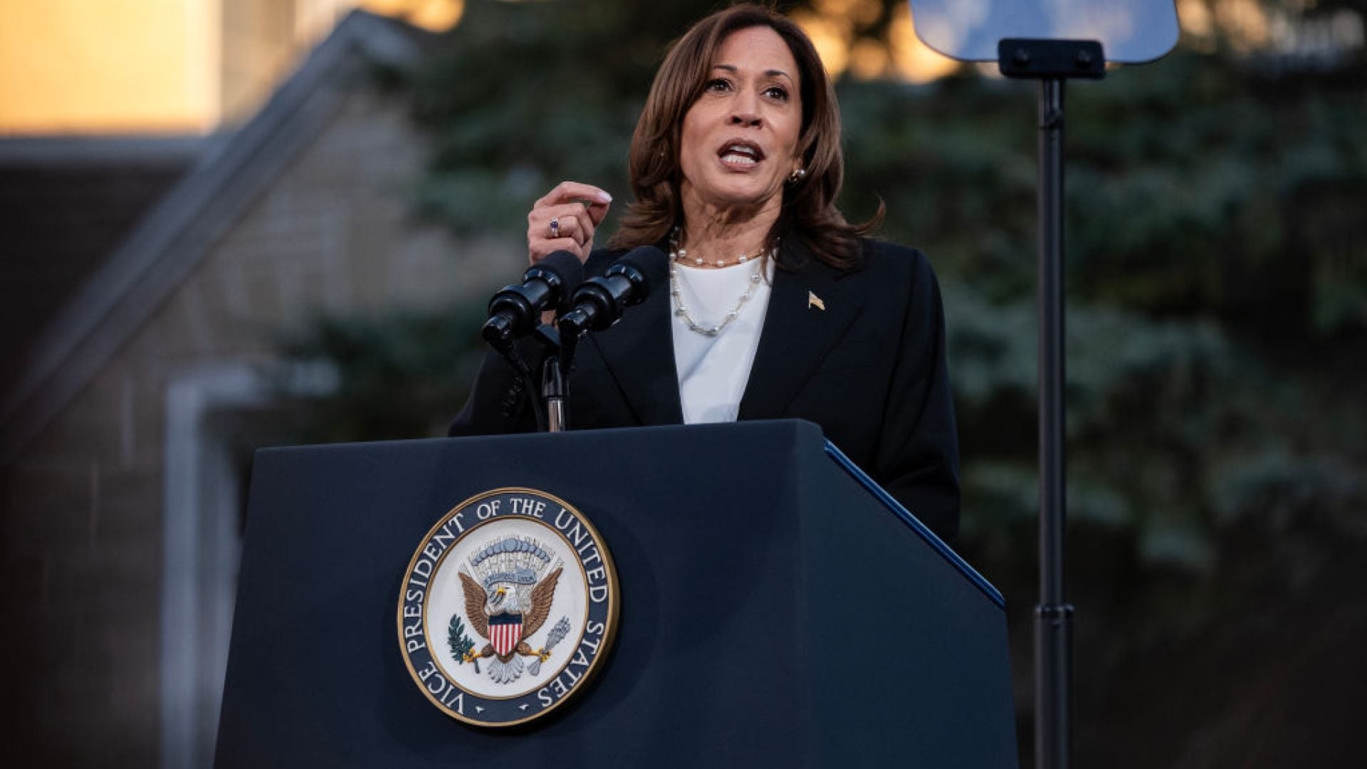 Kamala Harris Slams Arkansas Governor's Criticism Over Her Not Having Biological Children: "Family Comes In Many Forms"