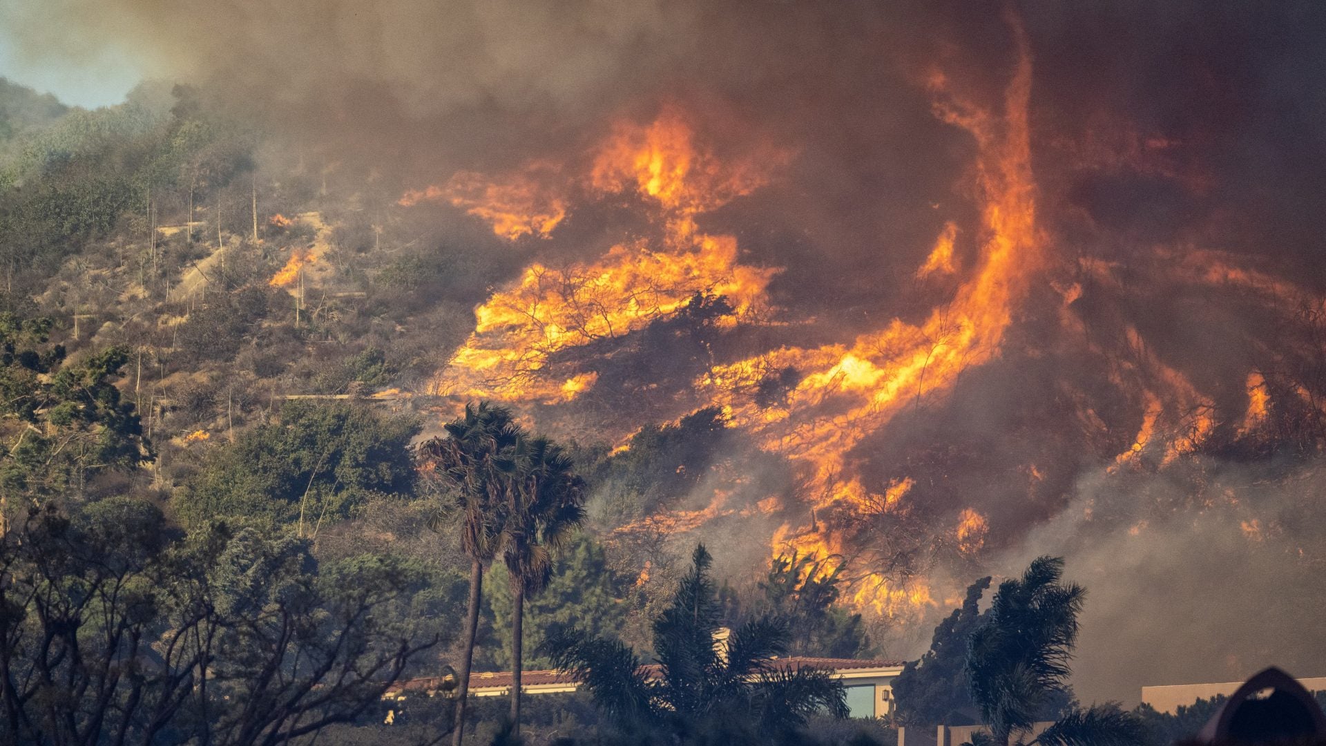 Los Angeles Wildfires Force 30,000 To Evacuate As Winds Fuel Flames, State Of Emergency Declared