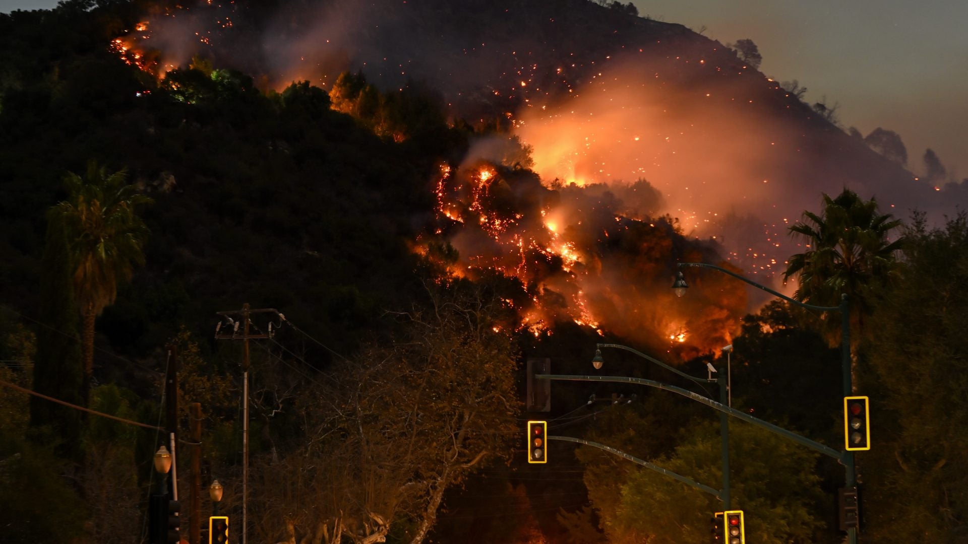 Award Season Disrupted: How Hollywood Is Navigating Wildfires And Delays