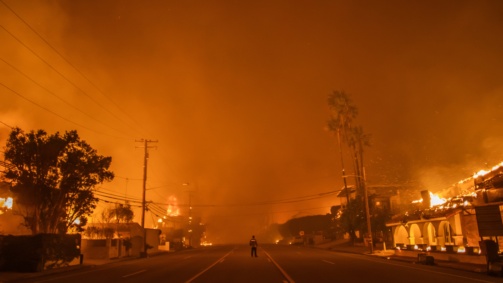 How To Donate To Victims Impacted By The California Wildfires – Essence