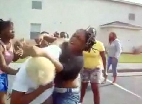 Black Girls Fighting Videos